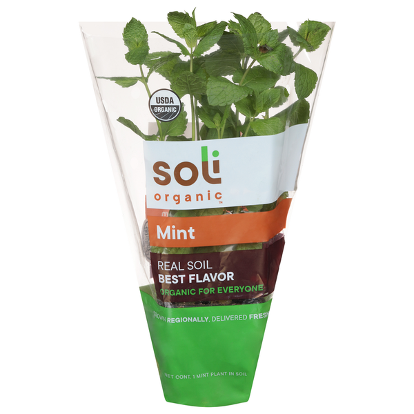 Soli Organic Mint hero