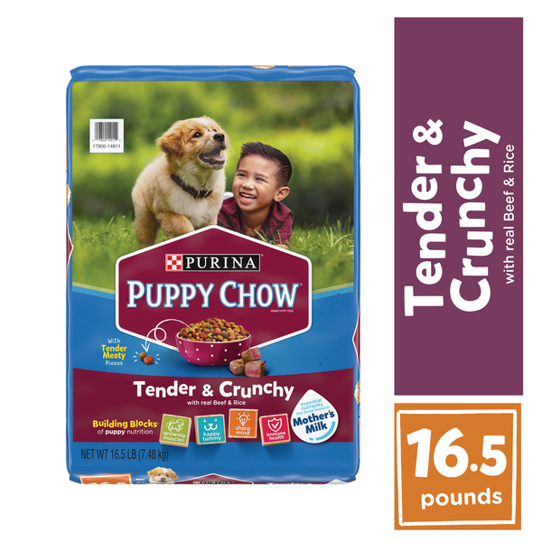 Dog Food & Care Purina Puppy Chow High Protein Dry Puppy Food, Tender & Crunchy With Real Beef hero