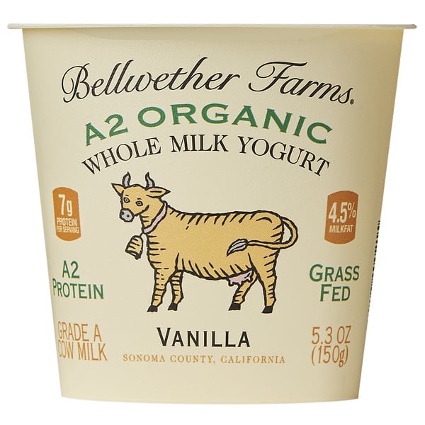 Yogurt Bellwether Farms, A2 Organic Whole Milk Yogurt, Vanilla hero