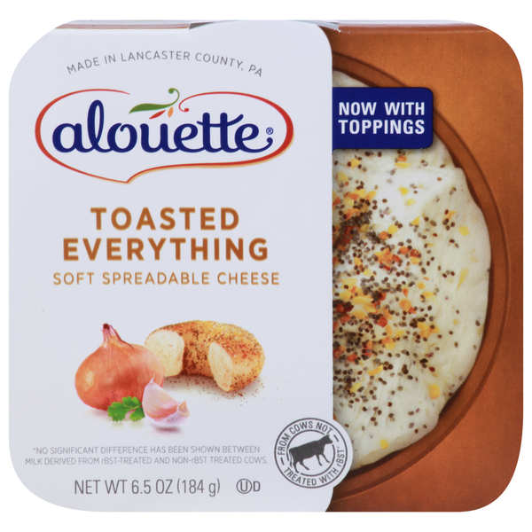 Breakfast Bakery Alouette Toasted Everything Soft Spreadable Cheese hero