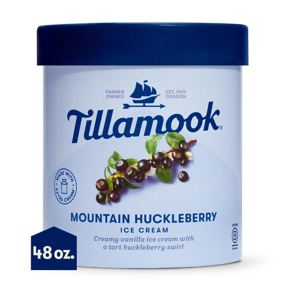 Yogurt Tillamook Mountain Huckleberry Ice Cream hero