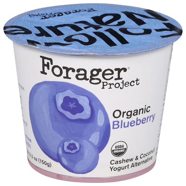 Soy & Lactose-Free Forager Project Cashew & Coconut Yogurt Alternative, Dairy-Free, Organic, Blueberry, Probiotic hero