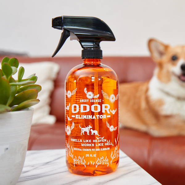 Angry orange pet odor retailer