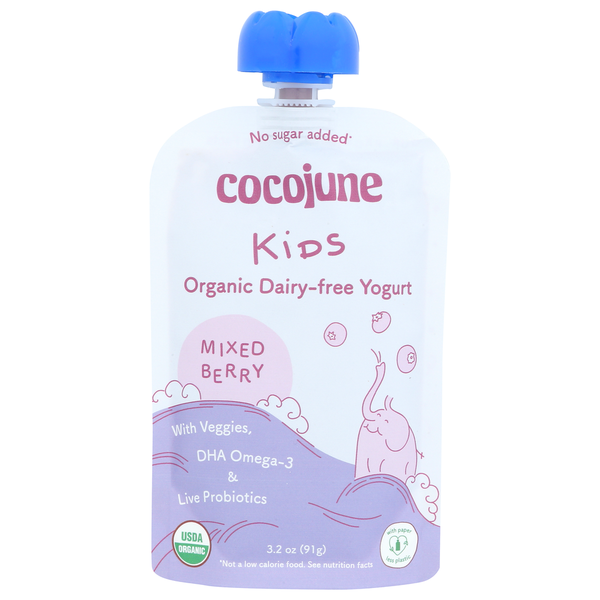 Yogurt cocojune Yogurt Mixed Berry hero