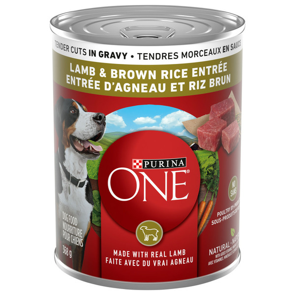 Dog Food & Care Purina ONE Tender Cuts in Gravy Lamb & Brown Rice Entrée hero