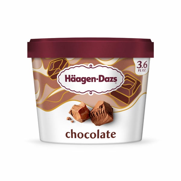 Ice Cream & Ice Haagen-Dazs Chocolate Ice Cream hero