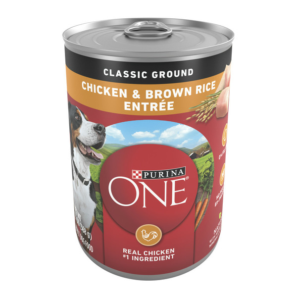 Water, Seltzer, Sparkling Water Purina ONE Classic Ground Chicken and Brown Rice Entree Adult Wet Dog Food hero