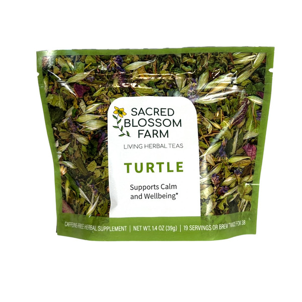 Tea Sacred Blossom Turtle Herbal Tea hero