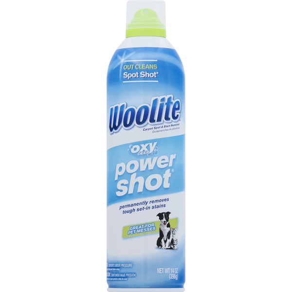 Cleaning Products Woolite Carpet Spot & Stain Remover hero