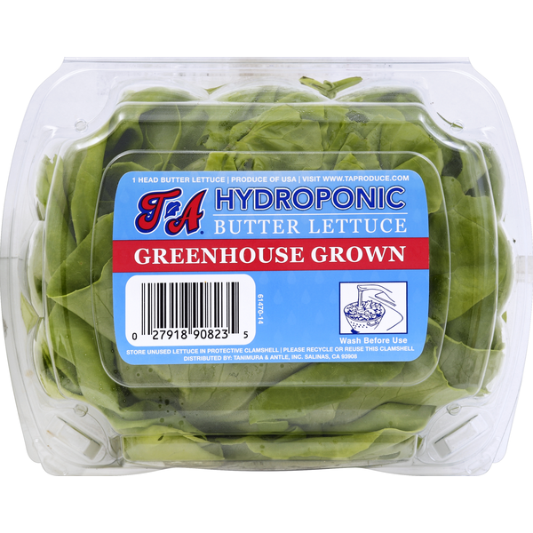 Fresh Vegetables Hydroponic Butter Lettuce hero