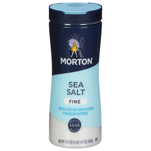 Spices & Seasonings Morton Sea Salt, Fine hero