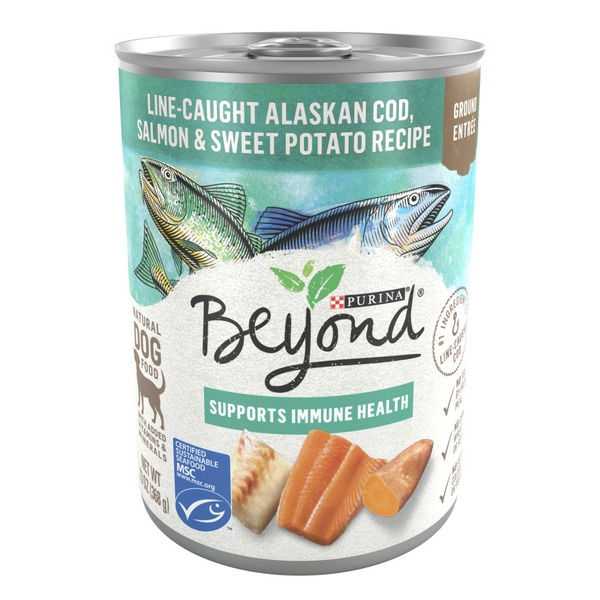 Wet Dog Food Purina Beyond Cod, Salmon and Sweet Potato Natural Ground Grain Free Wet Dog Food Pate hero