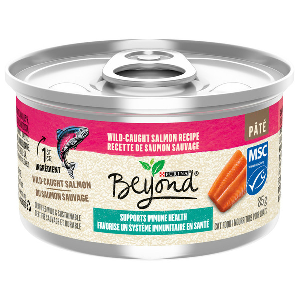 Cat Food & Care Beyond Pâté Wild-Caught Salmon Recipe hero