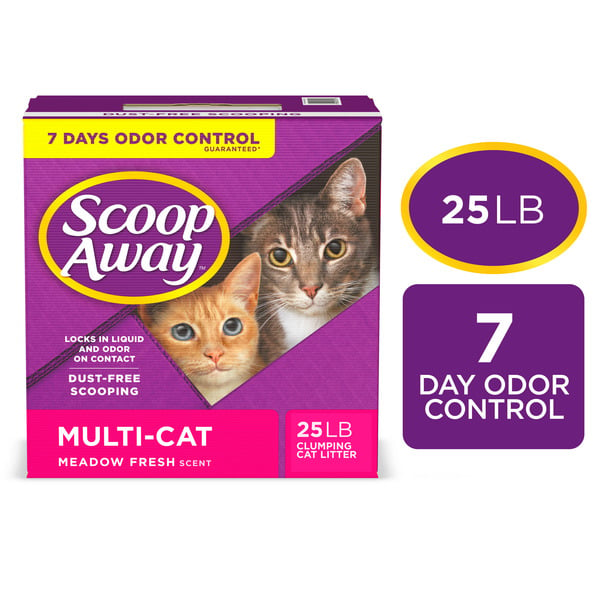 Cat food and litter delivery best sale