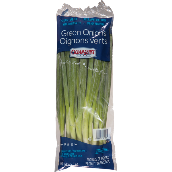 Fresh Vegetables Green Onions hero