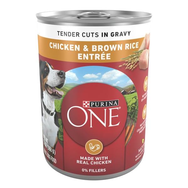 Wet Dog Food Purina ONE Tender Cuts in Wet Dog Food Gravy Chicken and Brown Rice Entree hero