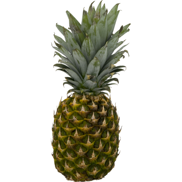 Fresh Fruits USDA Produce Pineapple hero