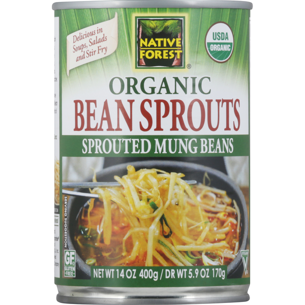 Native Forest Bean Sprouts, Organic hero