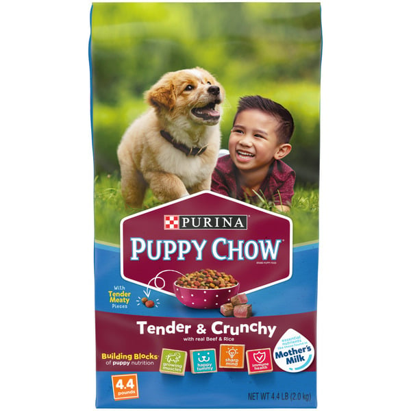 Dog Food & Care Purina Puppy Chow High Protein Dry Puppy Food, Tender & Crunchy With Real Beef hero