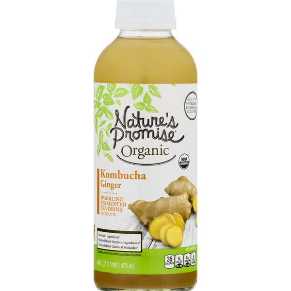 Refrigerated Nature's Promise Kombucha, Organic, Ginger hero