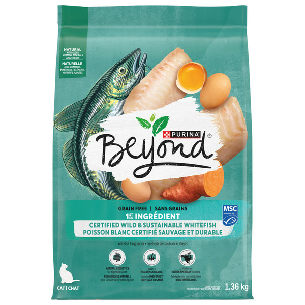 Cat Food & Care Beyond Grain Free Wild-Caught Whitefish & Free Run Egg Recipe hero