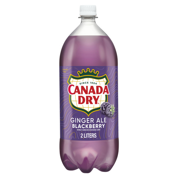 Soft Drinks Canada Dry Blackberry Ginger Ale hero