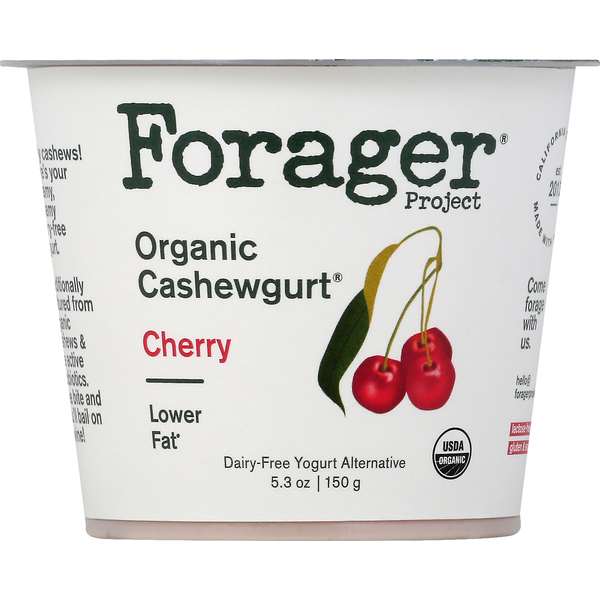 Yogurt Forager Project Cherry Dairy-free Cashewgurt hero