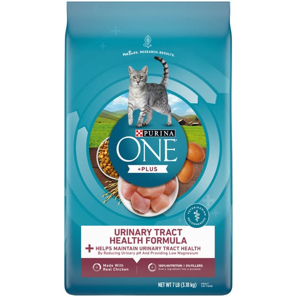 Cat Food & Care Purina ONE High Protein Dry Cat Food, +Plus Urinary Tract Health Formula hero