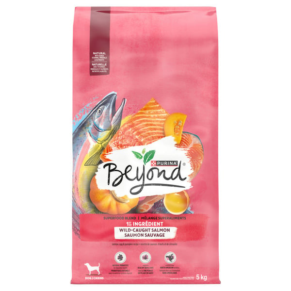 Dog Food & Care Beyond Superfood Blend Wild Caught Salmon, Egg & Pumpkin Recipe hero