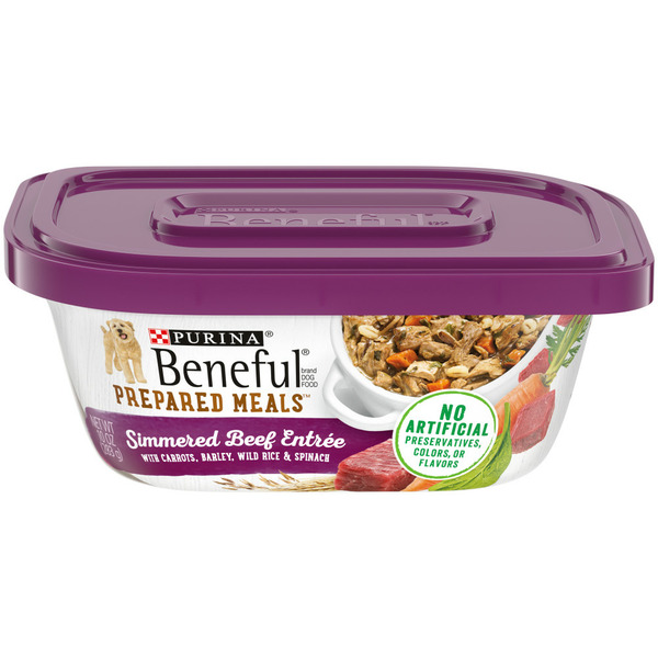 Dog Food & Care Purina Beneful High Protein, Wet Dog Food With Gravy, Prepared Meals Simmered Beef Entree hero