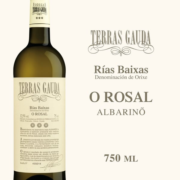 Albarino Terras Gauda White Wine hero