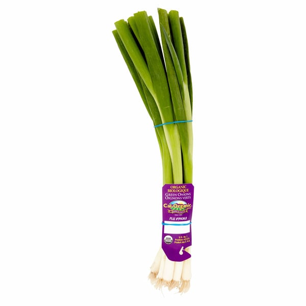 Fresh Vegetables Cal-Organic Farms Organic Green Onions hero