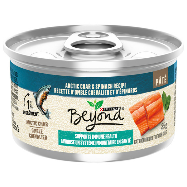 Cat Food & Care Beyond Pâté Arctic Char & Spinach Recipe hero