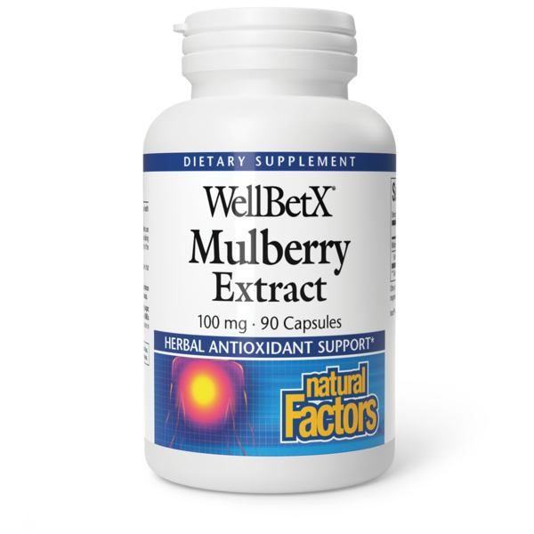 Protein & Meal Replacement Natural Factors Mulberry Extract hero