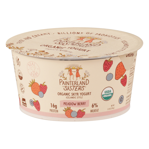 Yogurt Painterland Sisters Yogurt, Organic, Skyr, Meadow Berry, Icelandic Style hero