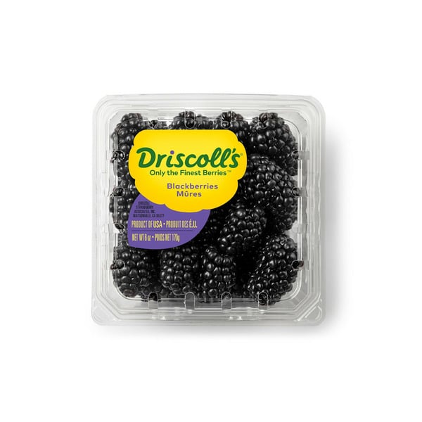 Berries & Grapes Driscoll's Blackberries hero