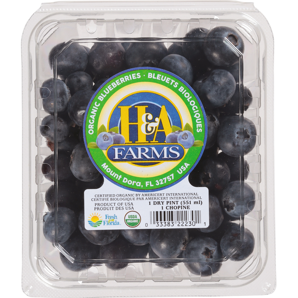 Fresh Fruits Blueberries, Organic hero