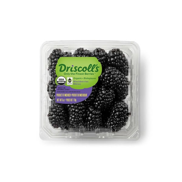 Driscoll's Organic Blackberries hero