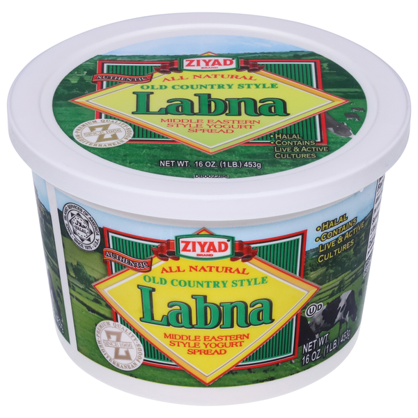 Soy & Lactose-Free Ziyad Yogurt Spread, Labna, Old Country Style hero