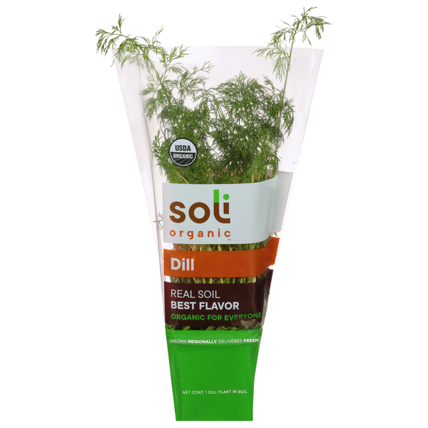 Fresh Herbs Soli Organic Dill hero