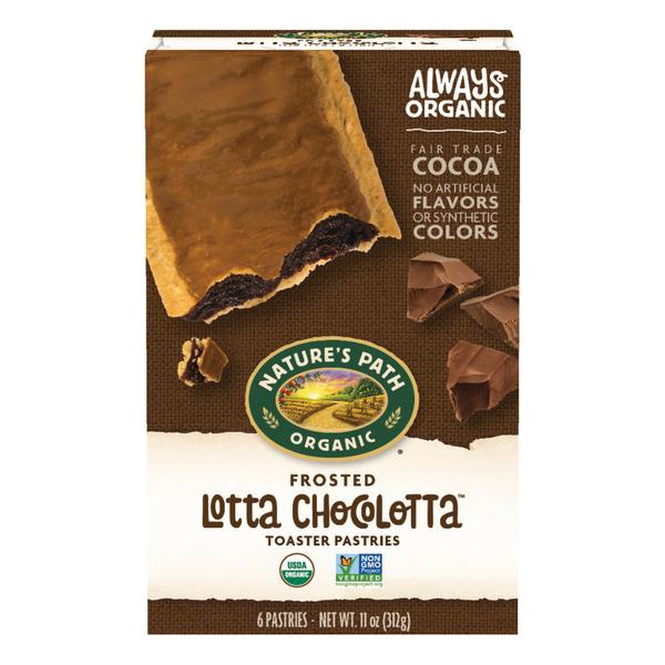 Breakfast Bars & Pastries Nature's Path Frosted Lotta Chocolotta Toaster Pastries hero