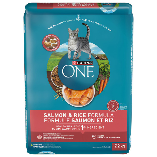 Cat Food & Care Purina ONE Salmon & Rice hero