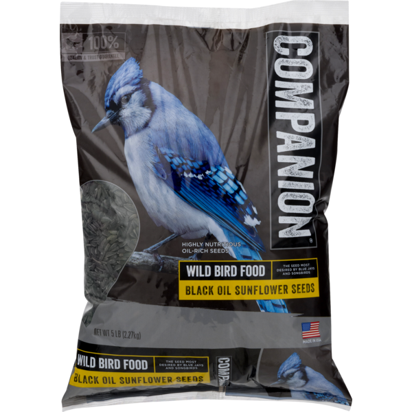 Bird Seed Companion Black Oil Sunflower Seeds Wild Bird Food hero