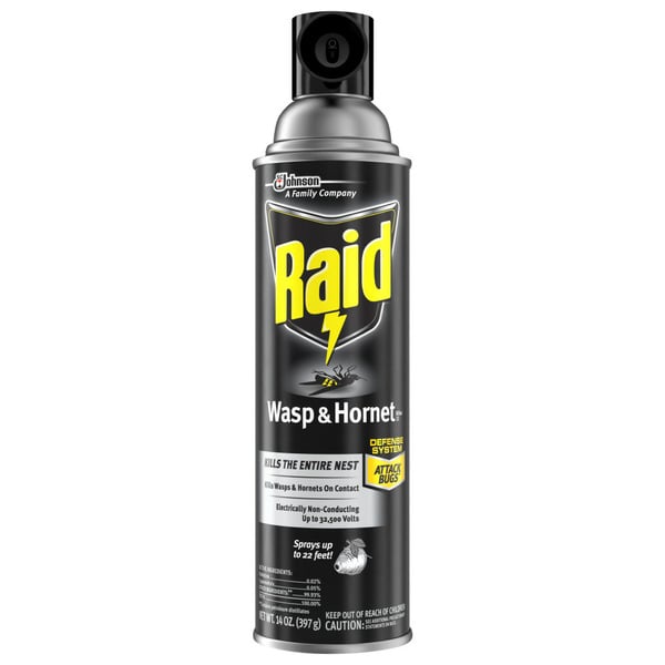 More Household Raid® Wasp & Hornet Killer Insecticide Aerosol Spray hero