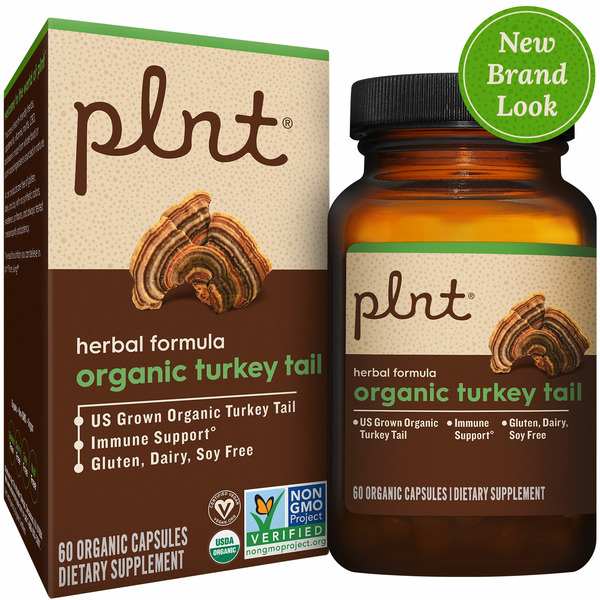 Plnt Organic Turkey Tail Immune Support hero