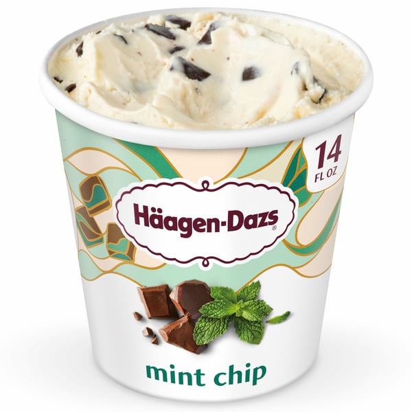 Ice Cream & Ice Haagen-Dazs Mint Chip Ice Cream hero