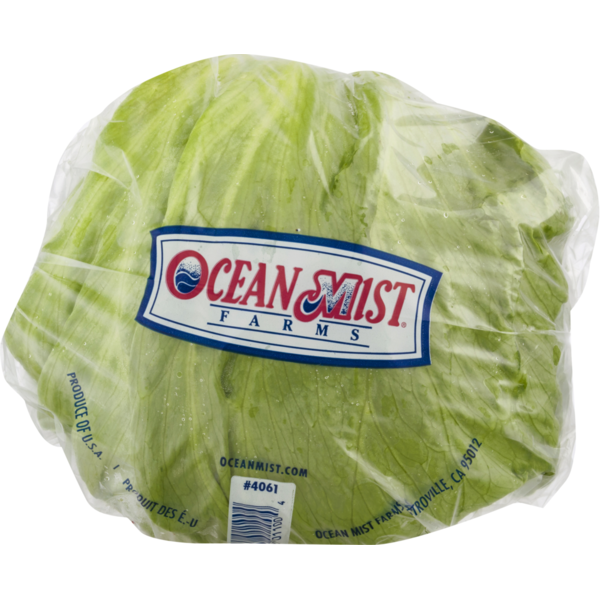 Fresh Vegetables Lettuce hero