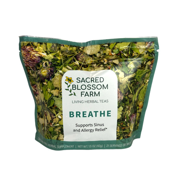 Tea Sacred Blossom Breathe Herbal Tea hero