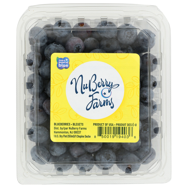 Fresh Fruits Nuberry Farms Berry Blueberry 1Pt Cv hero