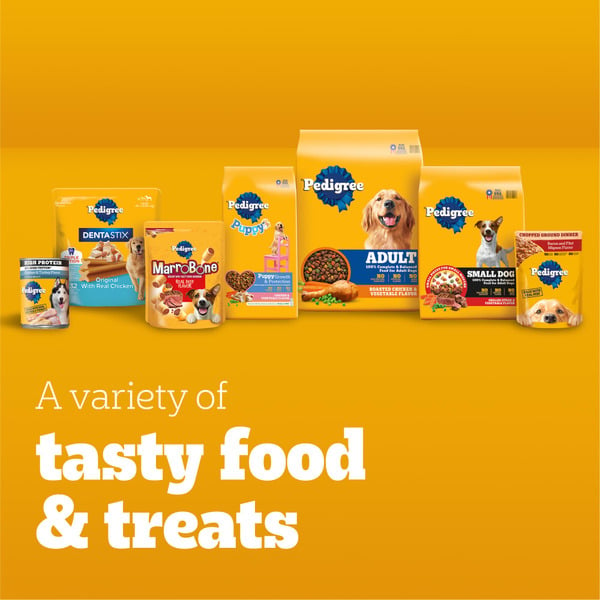 Food Lion Pedigree Complete Nutrition Adult Dry Dog Food Roasted Chicken Same Day Delivery or Pickup Food Lion